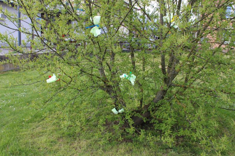 Schmetterling basteln Schmetterling falten Schmetterling zeichnen Ausbilder Schmetterlinge Schmetterling basteln für Kinder Schmetterling einfach basteln für Kinder