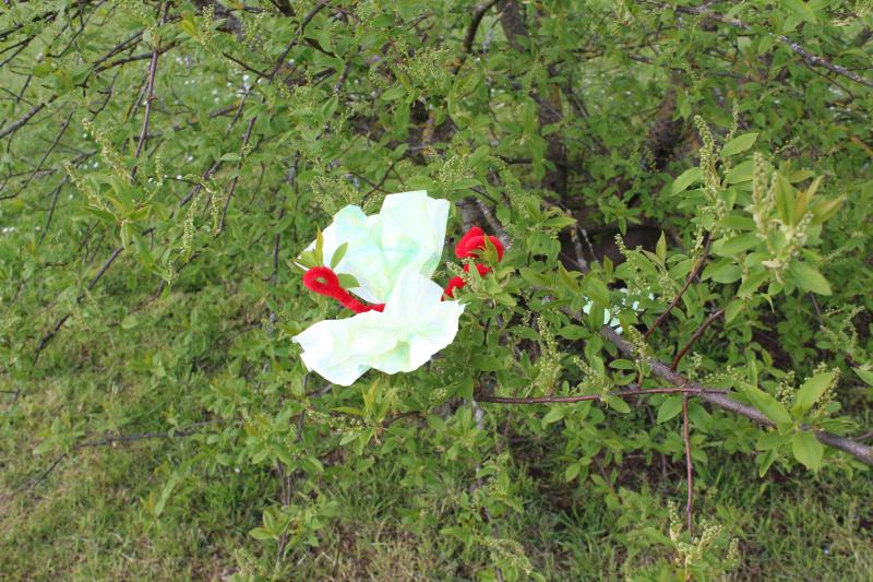 Schmetterling basteln Schmetterling falten Schmetterling zeichnen Ausbilder Schmetterlinge Schmetterling basteln für Kinder Schmetterling einfach basteln für Kinder