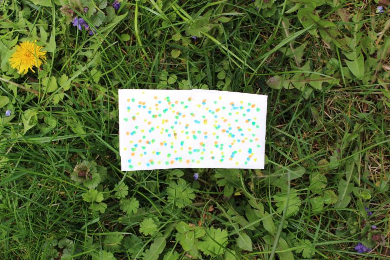 Schmetterling basteln Schmetterling falten Schmetterling zeichnen Ausbilder Schmetterlinge Schmetterling basteln für Kinder Schmetterling einfach basteln für Kinder